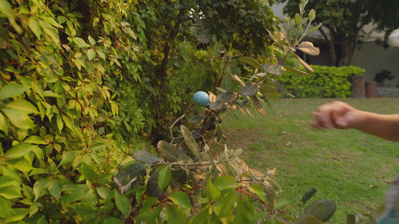A blue painted easter egg is found and taken by a girl on the branch of a small tree in her garden