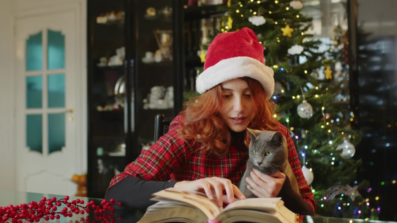 A girl playing with her grey cat at christmas, girl, christmas, christmas tree, cat, and cat and dog
