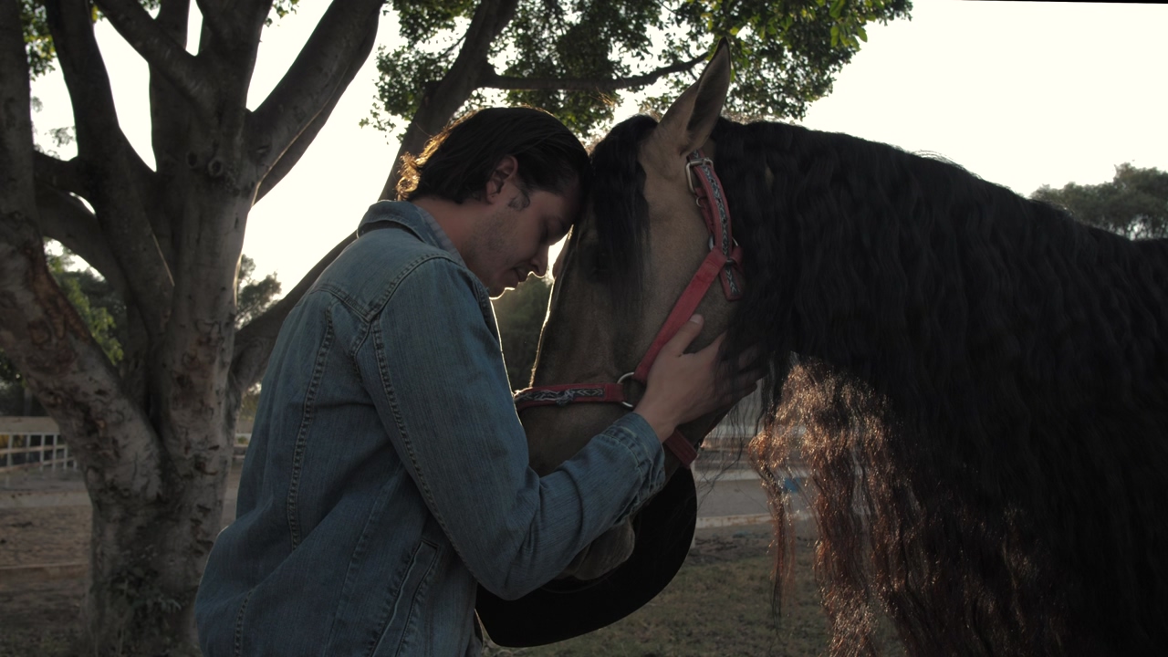 A man a denim jacket and blue jeans caresses the head of a of a brown horse with a black mane, trees in the background