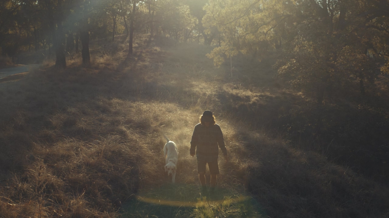 A man walking a white dog through the grass in the forest as the sun rises in the early morning