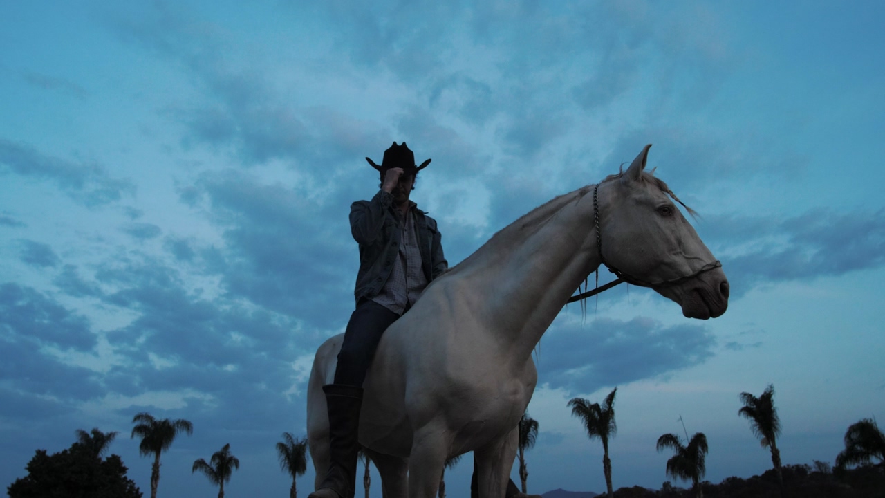 A man wearing a black cowboy hat, denim jacket, jeans and a plaid shirt sits on a white horse, palm trees and a clear sky in the background