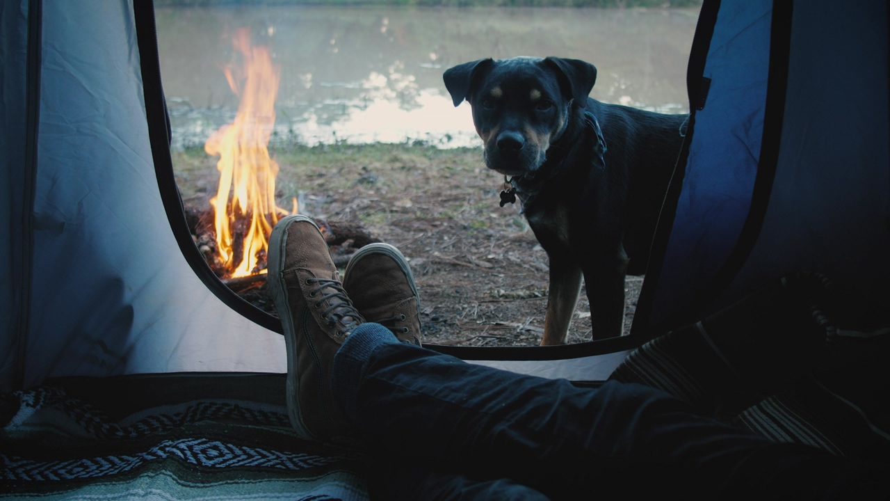 A person sits inside a tent with the flap door open, through with a campfire is visible, and a black dog sitting next to the fire, int he background, a body of water and trees
