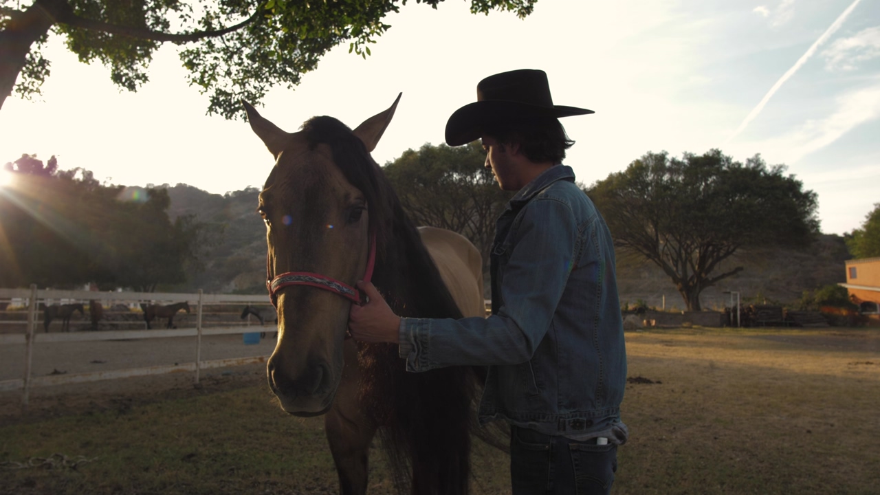 A person wearing a black cowboy hat, a denim jacket and blue jeans brushes the black mane of a brown horse, trees in the background