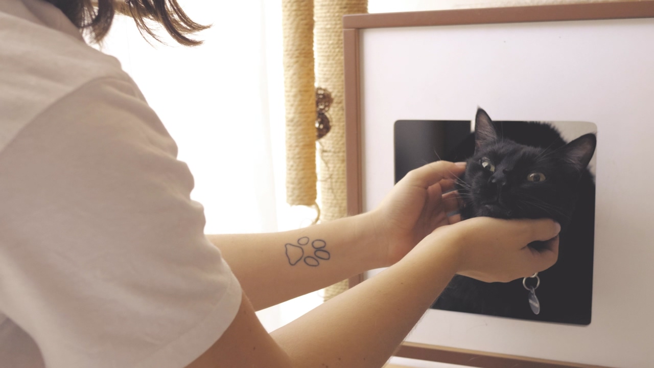 A person with a cat footprint tattoo caresses a black cat with both hands