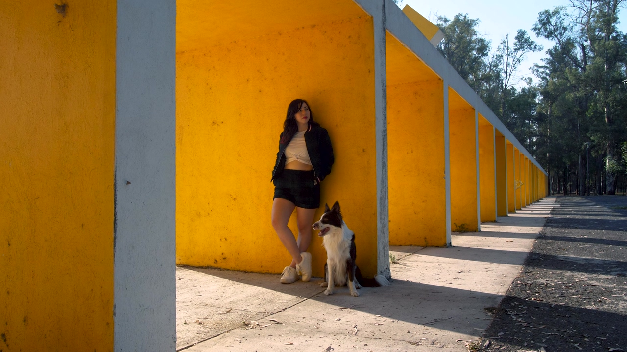 A white and black dog and a woman stand in front of a yellow wall with trees in the background, the woman walks away and the dog follows