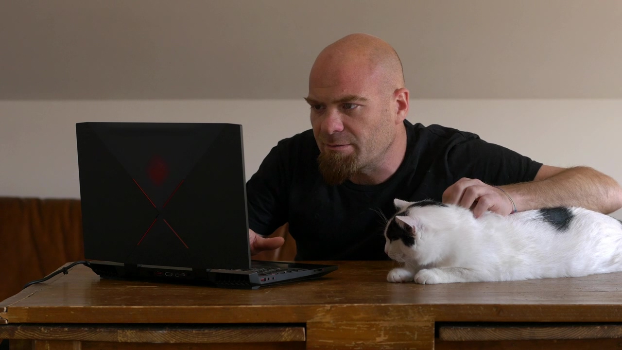 A white cat sits on a desk watching his man work, man, cat, work from home, watch cat, and pussycat