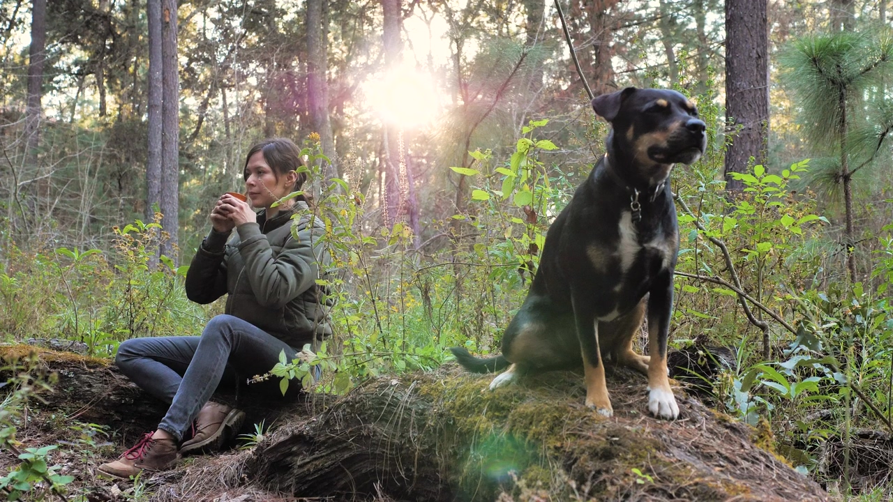 A woman and her dog in a forest, the woman is sitting on a log while drinking from a mug