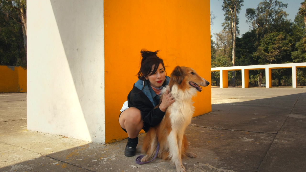 A woman hugging a dog on a sunny day at the park in front of an orange pillar