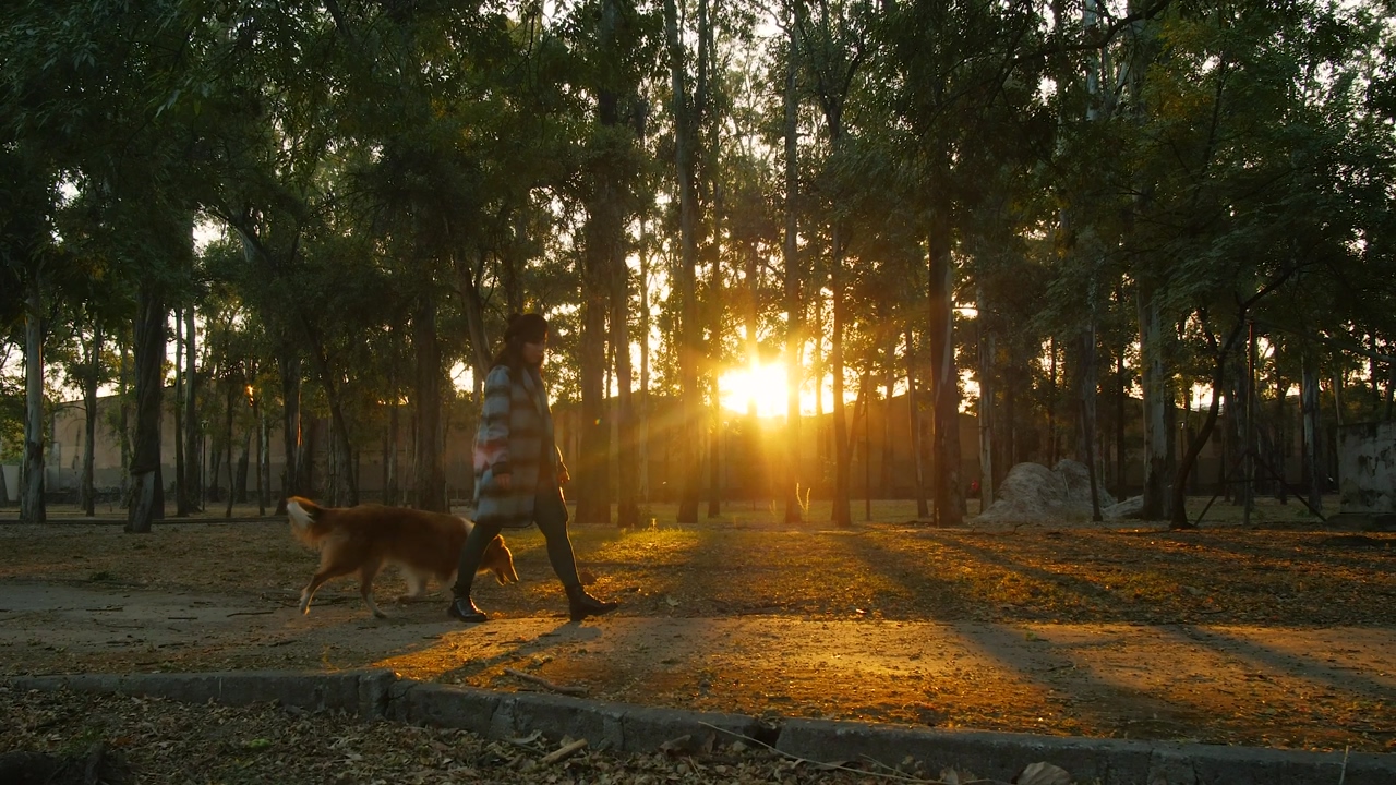 A woman walks through a park next to a brown and white dog, with the sun poking through trees in the background
