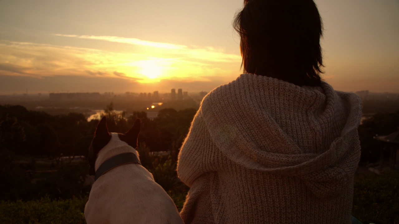 A woman with her dog, watching from above, the city in the distance, while the sun sets on the horizon at dusk
