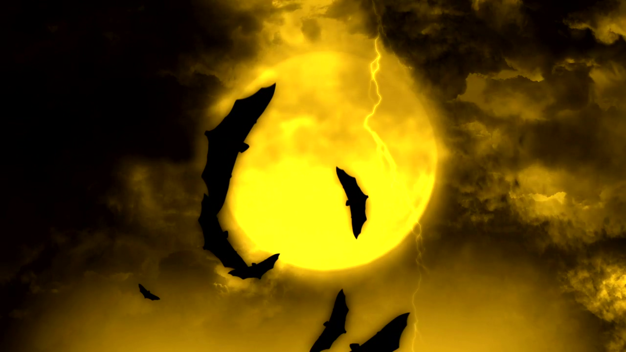 Bats flying in the light of the full moon, halloween, mist, moon, 2d animation, and bat