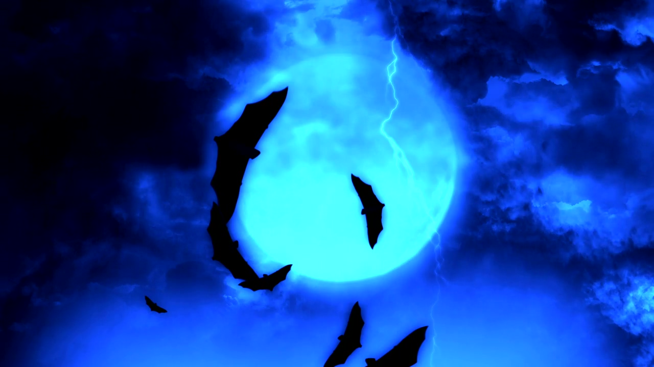 Bats flying under the blue full moon, halloween, mist, 2d animation, and bat