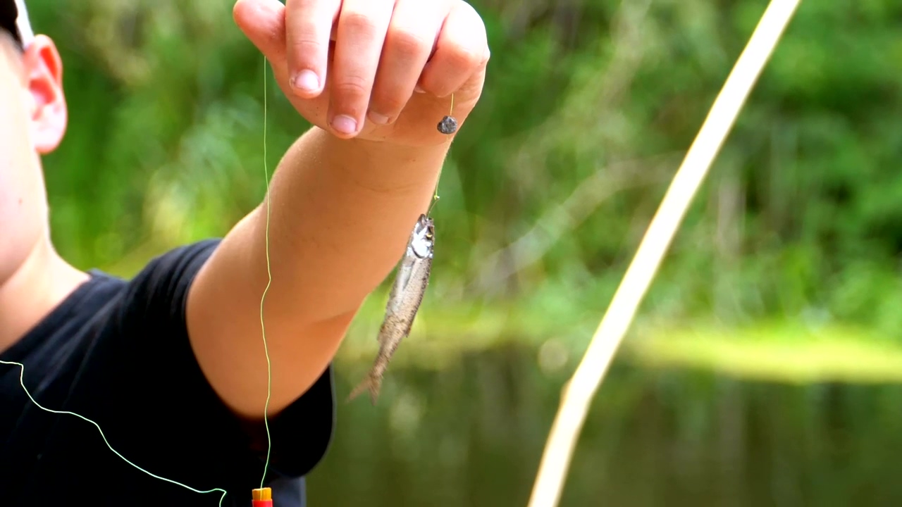 Boy holding a fish bait, sport, childhood, kid, boy, fish, fishing, and recreation