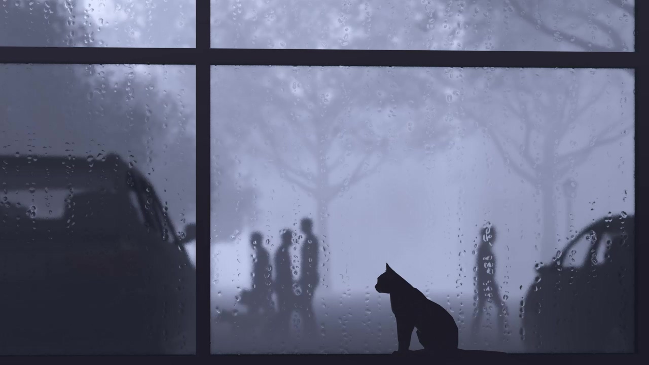 Cat by a window while it rains outside, animal, street, silhouette, rain, and cat