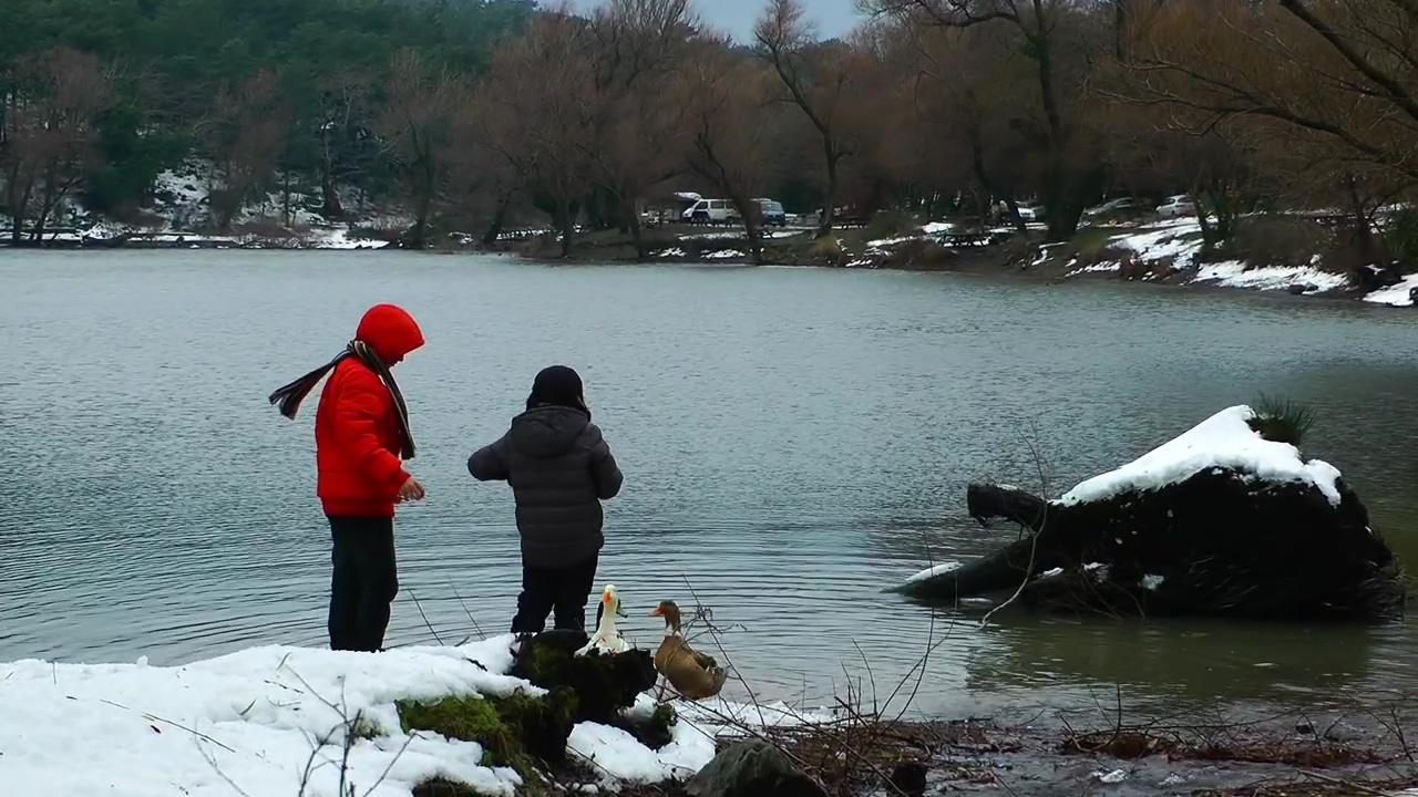 Children feeding ducks on a lake in winter #winter #lake #cold #children #duck
