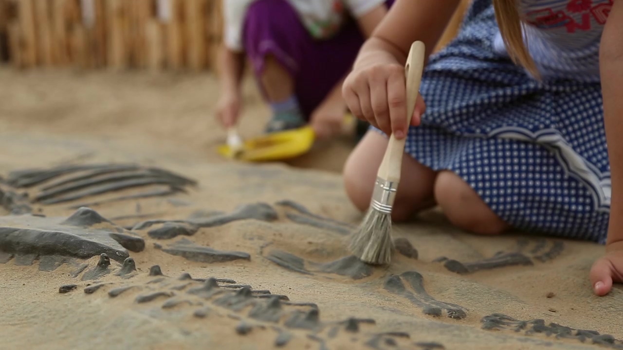 Close up of brushing sand of bones, child, education, bones, dinosaur, archaeology, and fossil