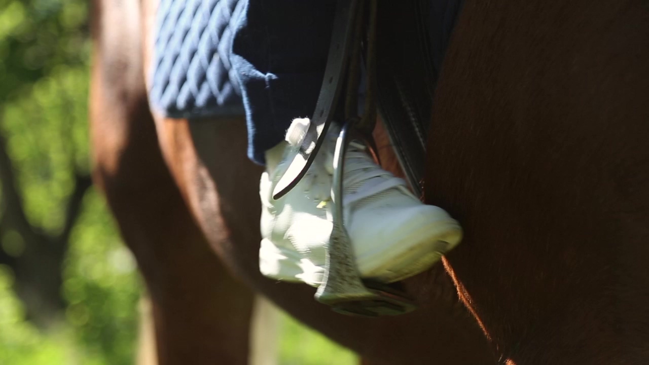 Closeup of a stirrup as a person rides a horse, animal, horse, riding, pets, and horseback riding