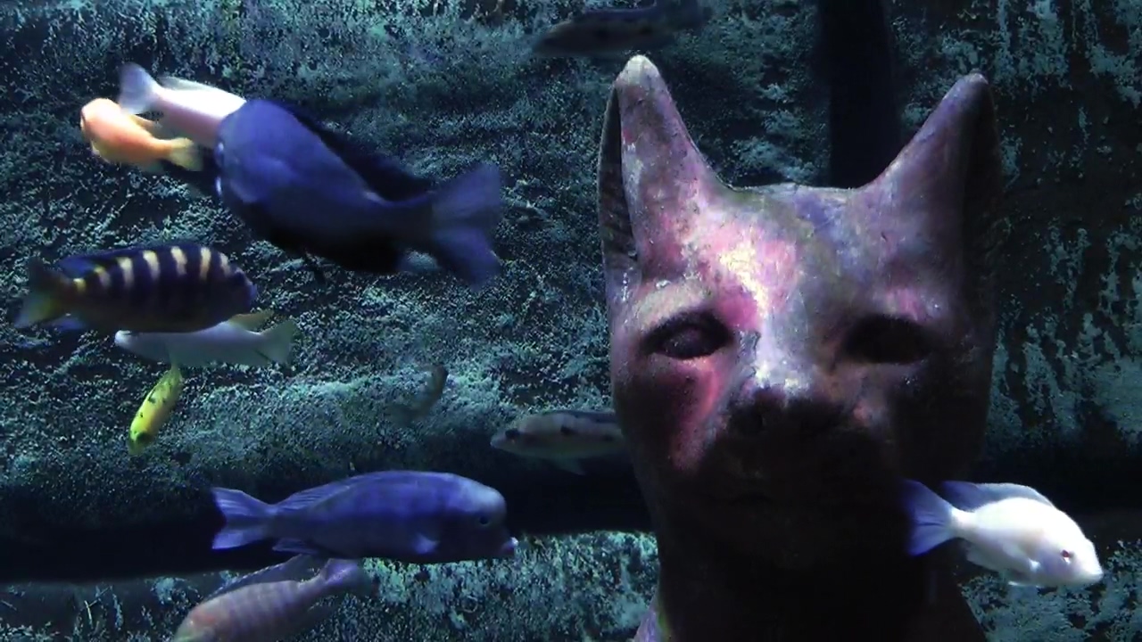 Egyptian cat on the sea floor surrounded by fish, fish, cat, statue, egypt, and seabed
