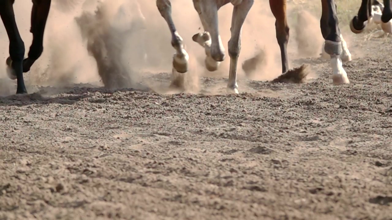 Feet of horses running on a dirt road, sport, animal, horse, race, horses, and dust