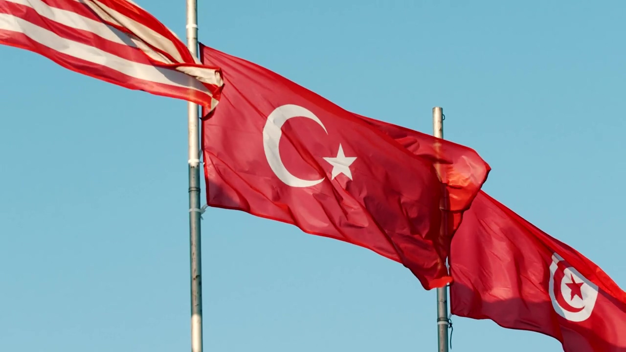 Flags from different countries waving with the wind, flag, clear sky, international, politics, and turkey