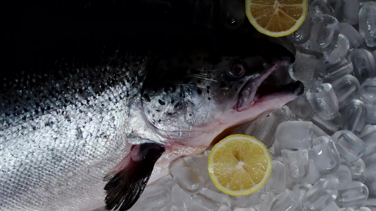 Fresh fish lying in a pile of ice with lemon slices #food preparation #ice #fish #meat #seafood