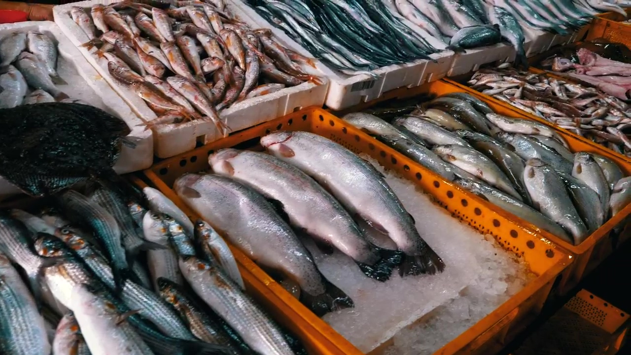 Fresh fish on ice trays, food, animal, ice, fish, market, seafood, product, and merchandise