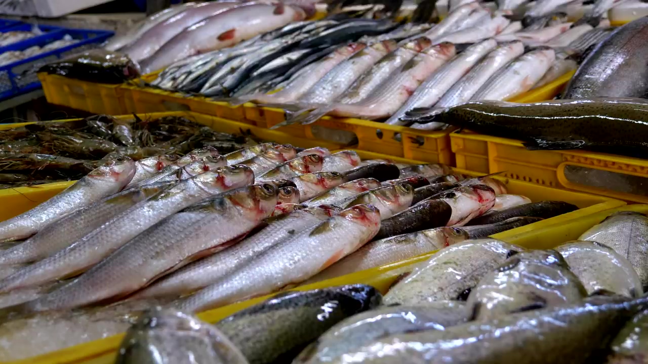 Fresh fish on ice trays in the market, food, fish, market, seafood, and merchandise