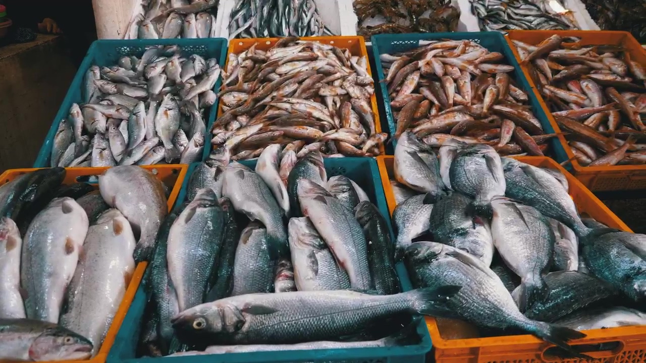 Fresh fish ready for sale in the market, food, animal, fish, market, seafood, and merchandise