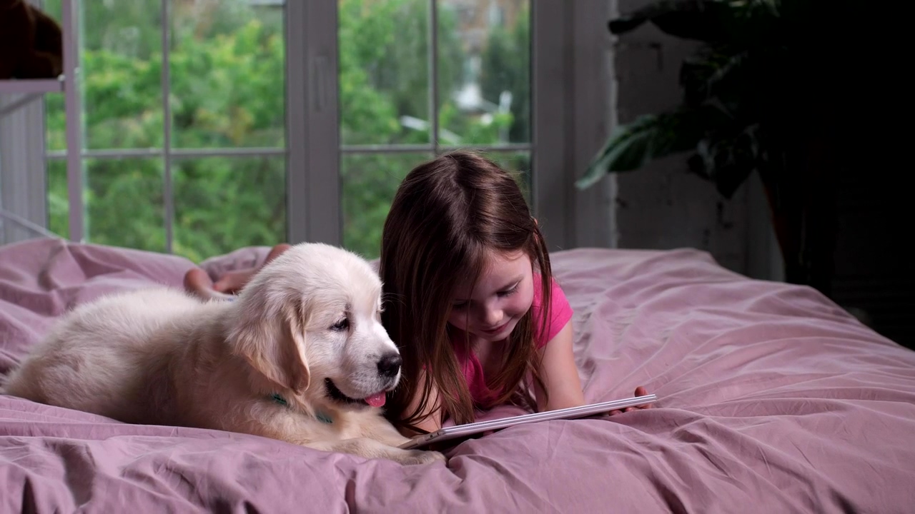 Girl and her puppy watching videos, dog, pet owner, puppy, and youtube