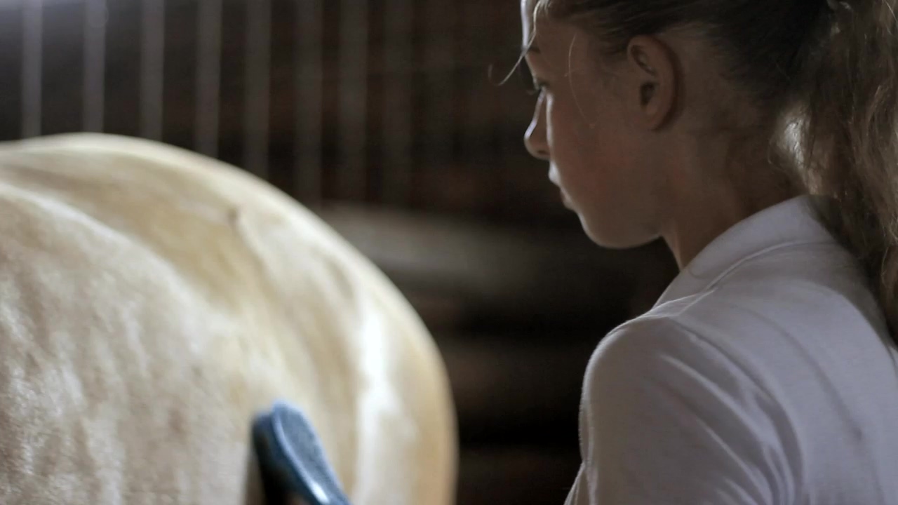 Girl brushing down her horse in a stable, animal, pet, farm, horse, animals, horses, and pony