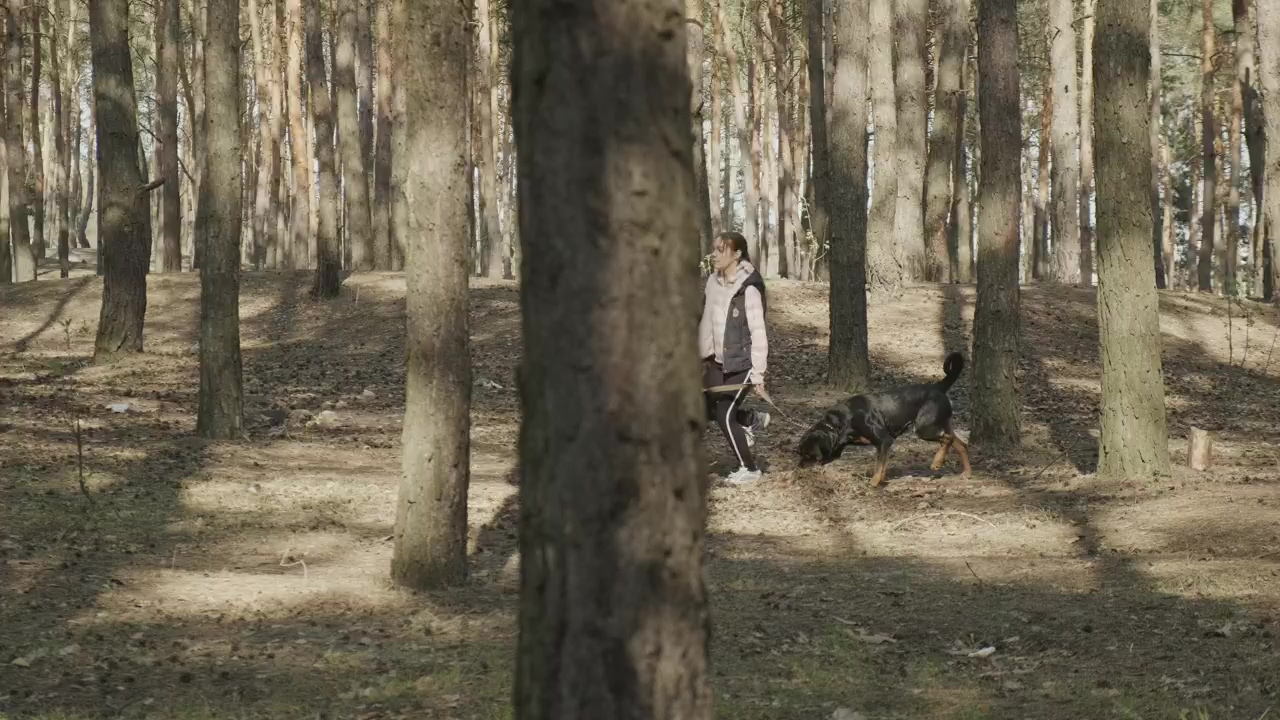 Girl running with her dog among the trees, forest, girl, dog, pet, running, pet owner, dog owner, and run