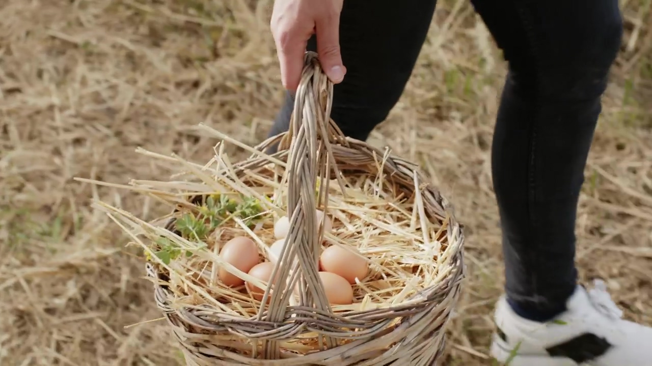 Girl walks with a basket of fresh eggs #girl #walking #agriculture #chicken #eggs