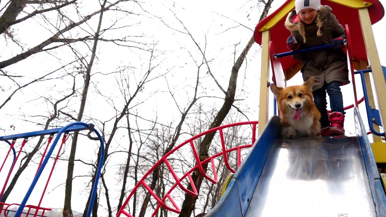 Girl with pet dog in the playground, outdoor, park, dog, playing, fun, dog owner, and girls