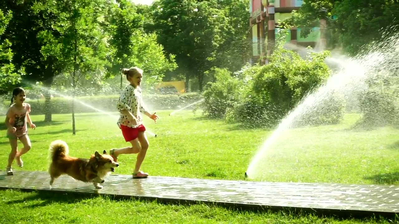 Girls playing with dog in the park, park, sunny, dog, happiness, summer, childhood, running, fun, children, enjoy, and joy