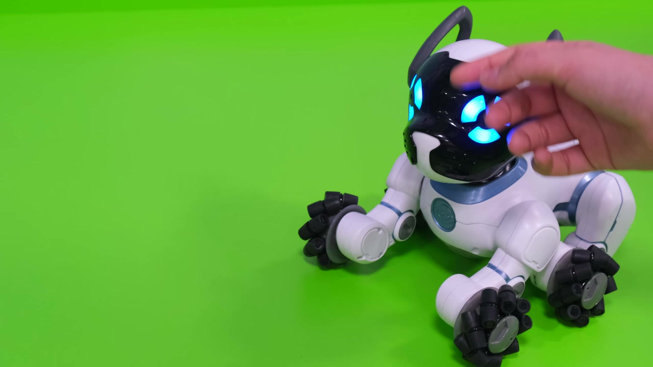Hand petting a robot dog, model, dog, pet, and robots