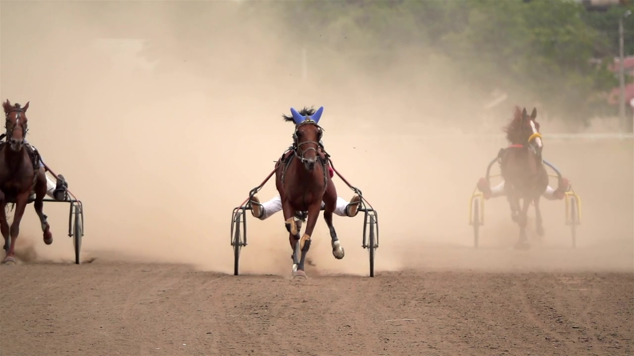 Horse race on a dirt road, sport, horse, race, dirt, and racing