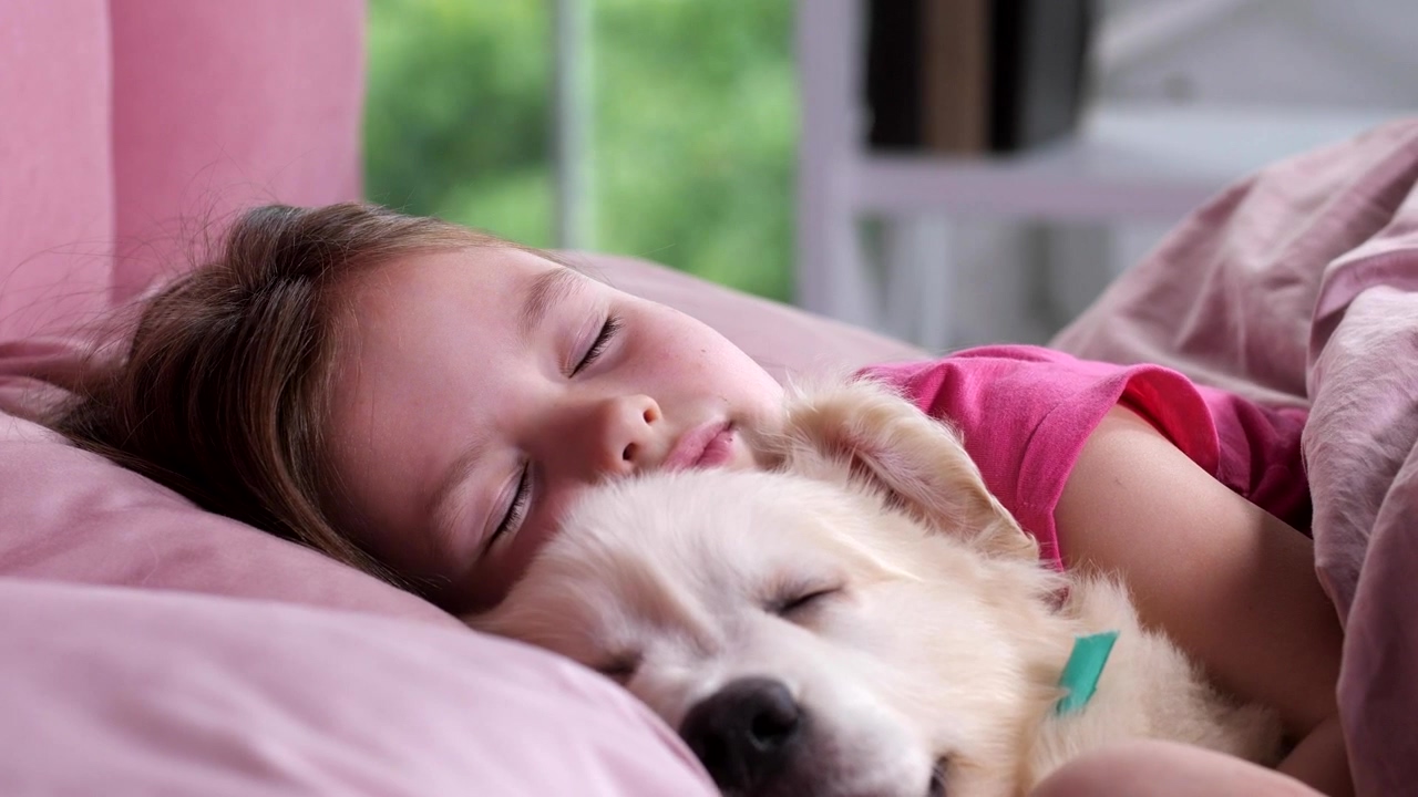 Little girl asleep with her dog, love, girl, dog, pet, sleep, and puppy