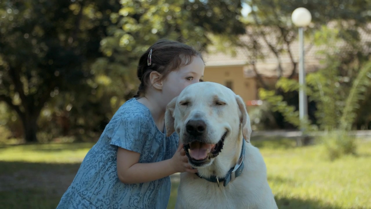 Little girl caresses and kisses her dog, girl, dog, pet, cute, kiss, and golden retriever