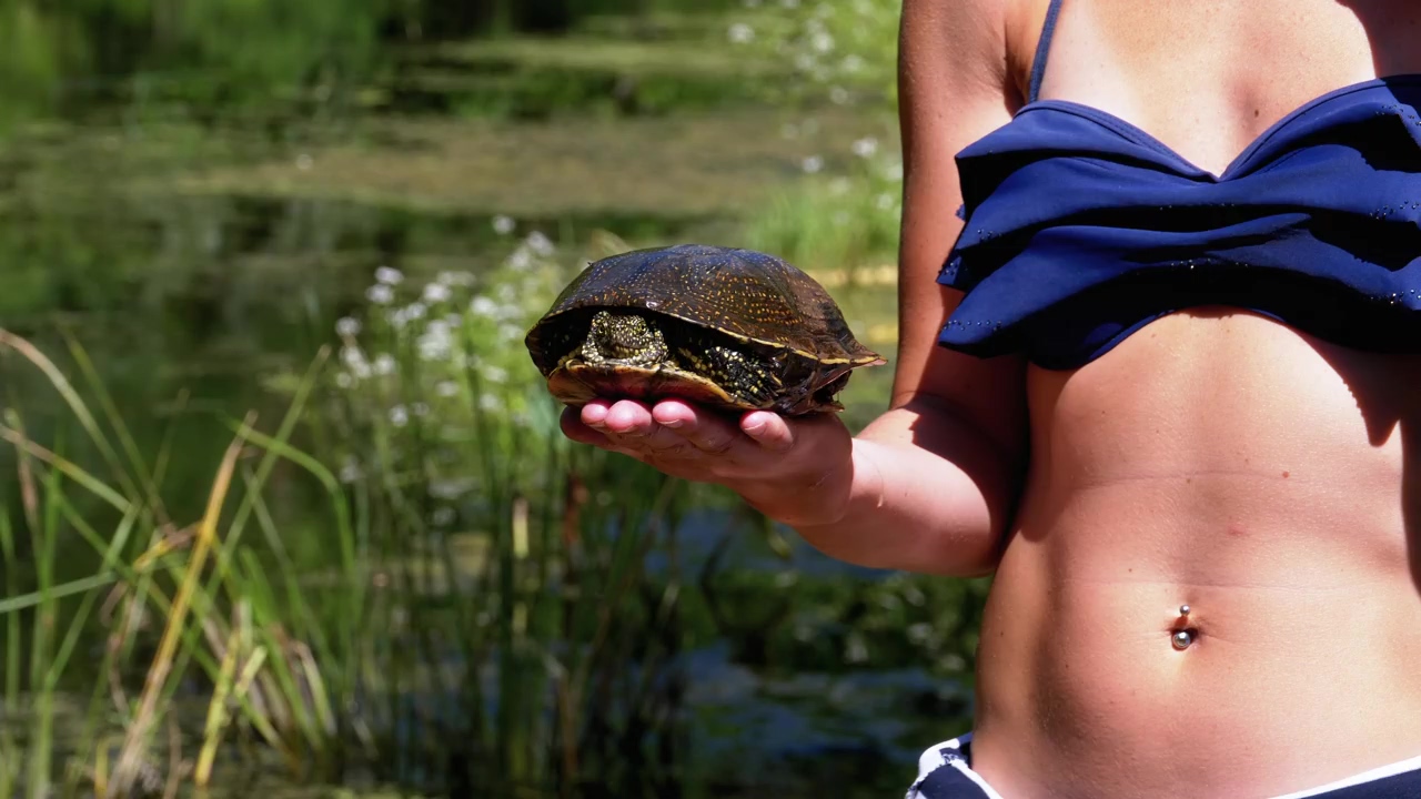 Little girl shows a turtle to the camera, wildlife, river, wild, reptile, and turtle