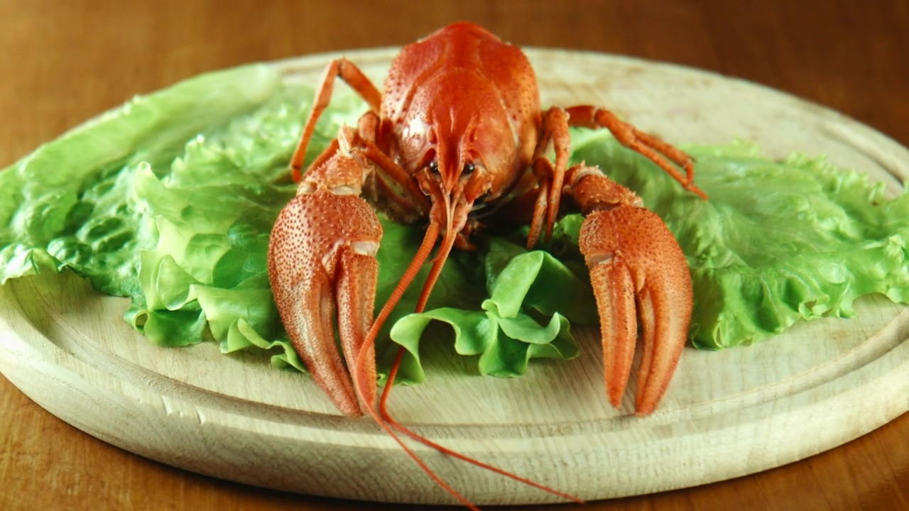 Lobsters on a lettuce bed, food, animal, healthy food, and table