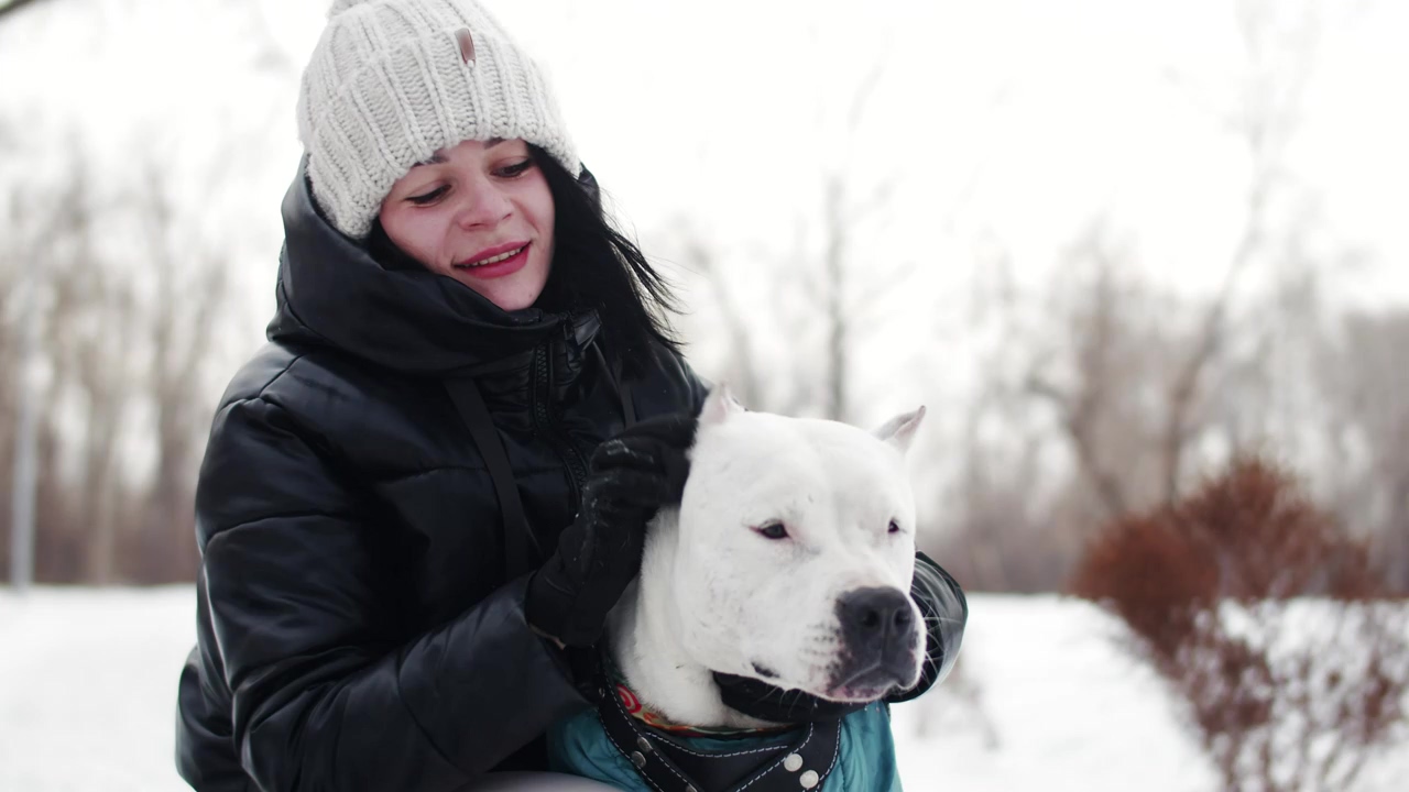Loving owner giving her white dog pats in the snow, snow, dog, pet, pet owner, and pitbull