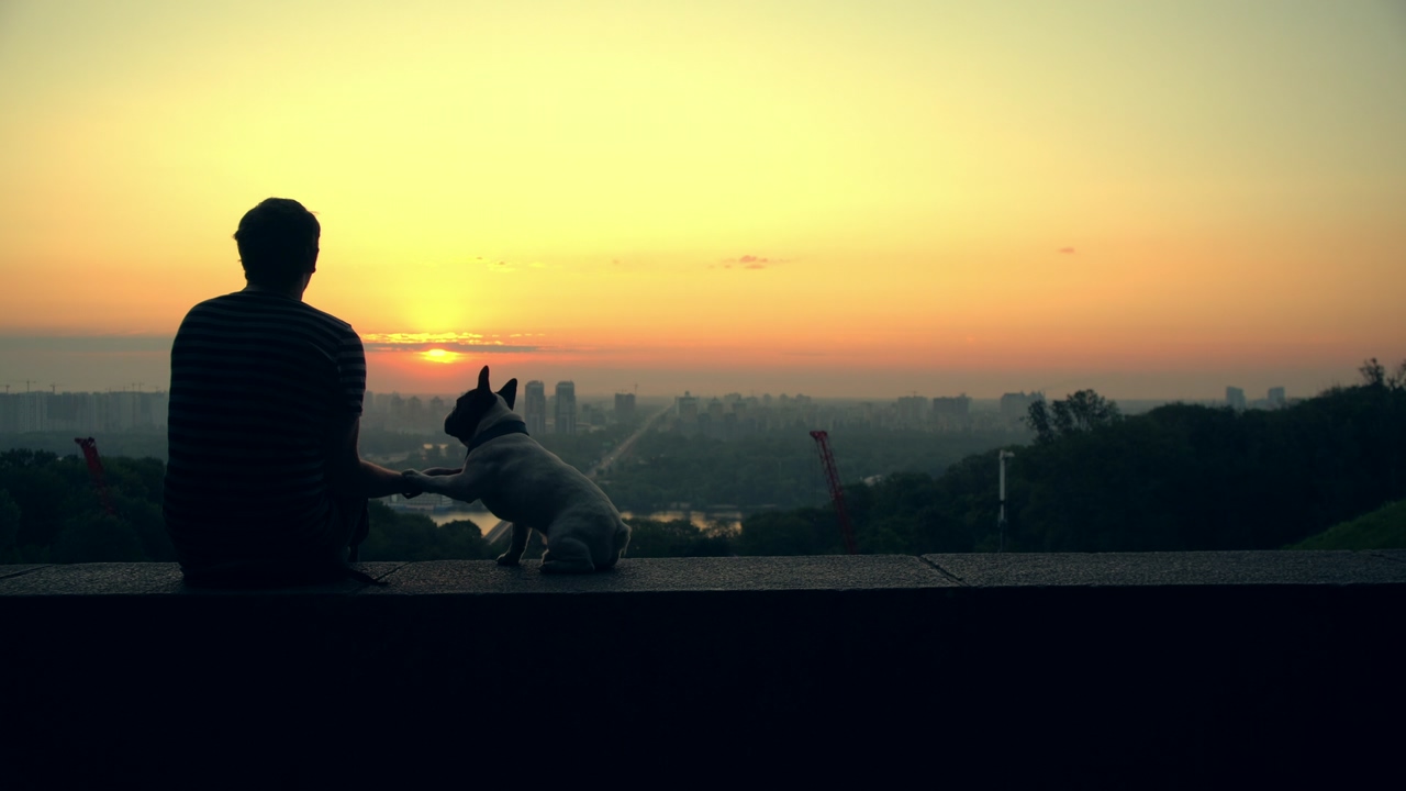 Man sitting with his dog to the side, he holds out his hand with a ball, while he watches the sunset on the horizon peacefully