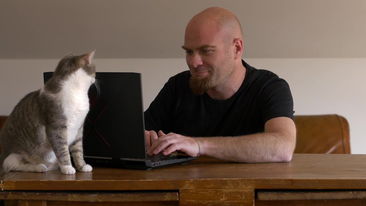 Man works at home on laptop with cat, pet, working from home, cat, pet owner, home office, and talking cats