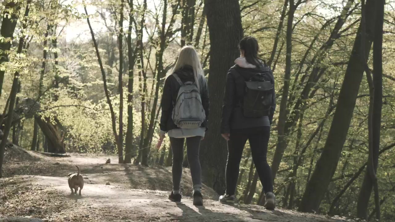 Millennial girlfriends walk little dog on forest path, forest, walking, dog, friendship, and millennial
