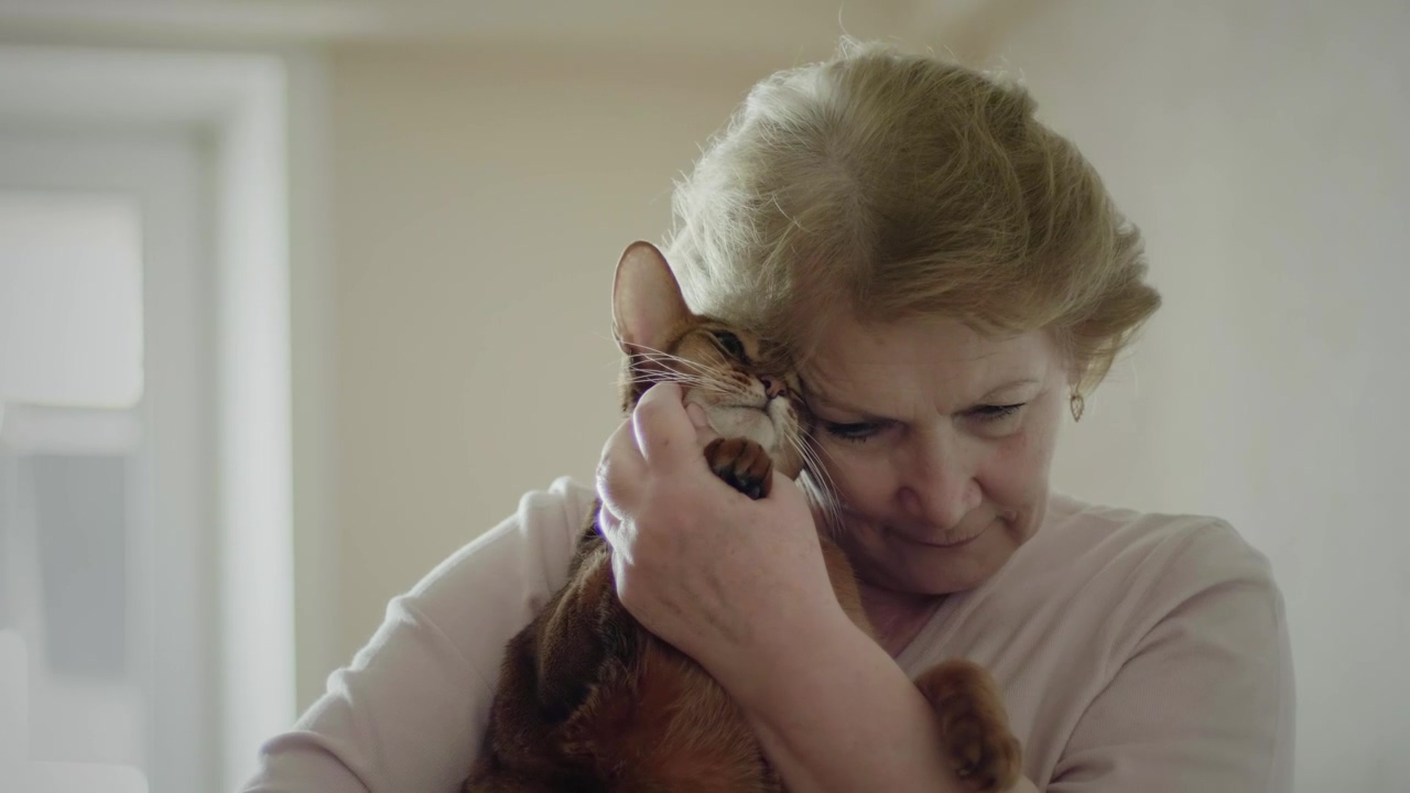 Old woman hugging her cat, animal, portrait, pet, indoor, cat, pet owner, old woman, hug, lonely, social distancing, lockdown, and domestic