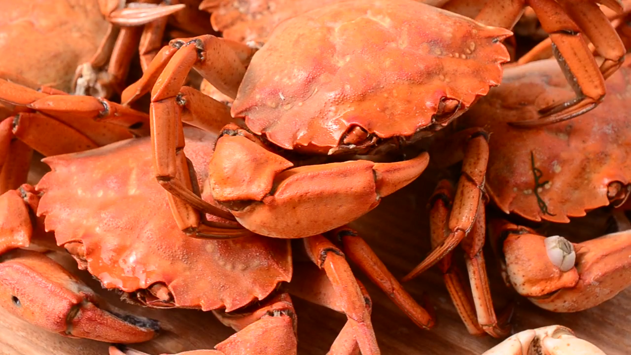 Presentation of crabs, spinning shot, food, animal, sea, restaurant, and crab