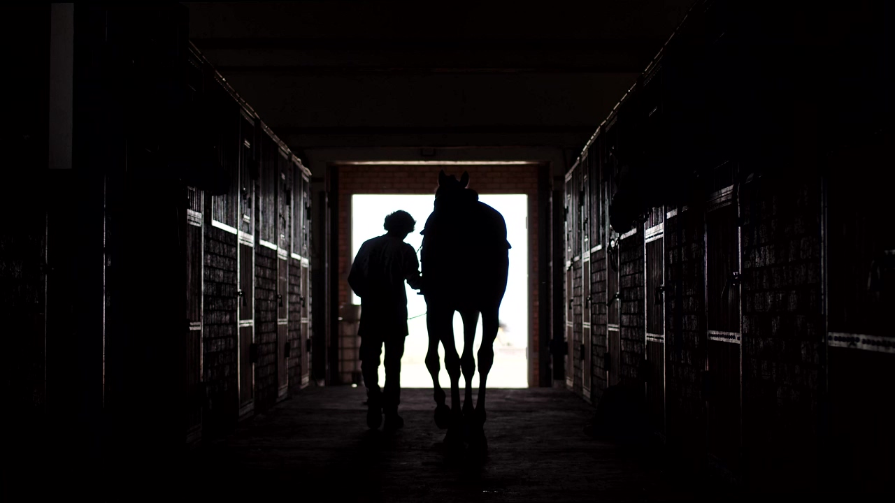 Silhouette of a person and their horse walking through a dark stable, animal, pet, farm, pet owner, horse, horses, and pony