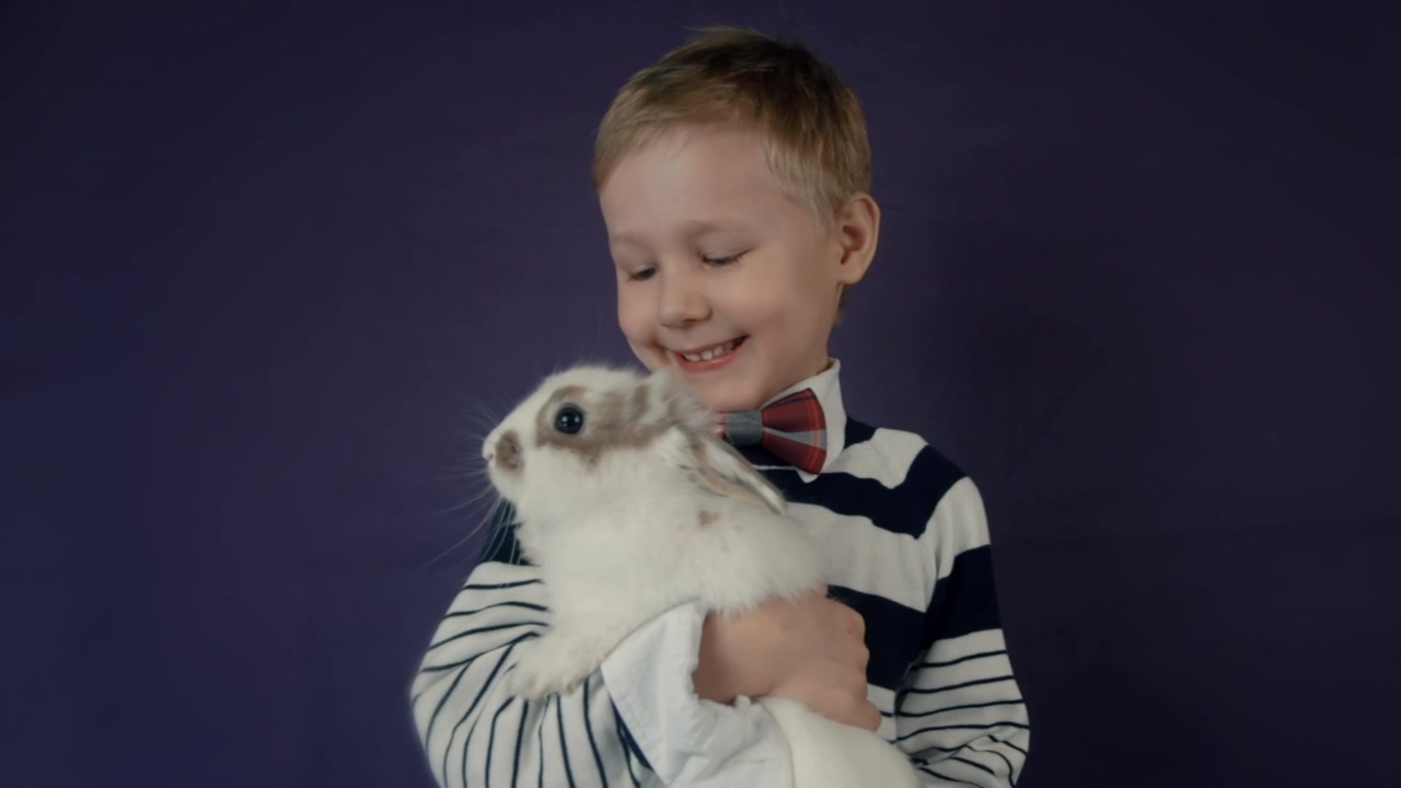 Small boy in a bowtie holding a fluffy white rabbit, animal, pet, soft, and rabbit