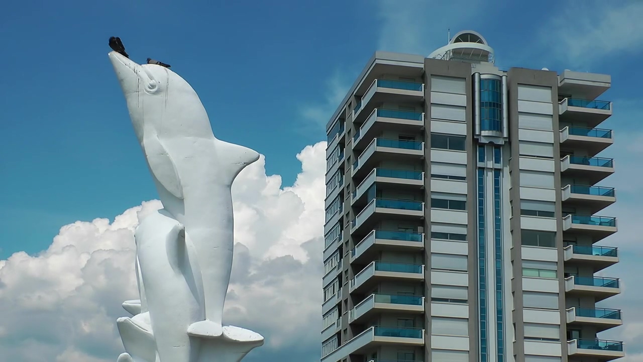 Statue of a dolphin in the city, animal, statue, sculpture, and dolphin