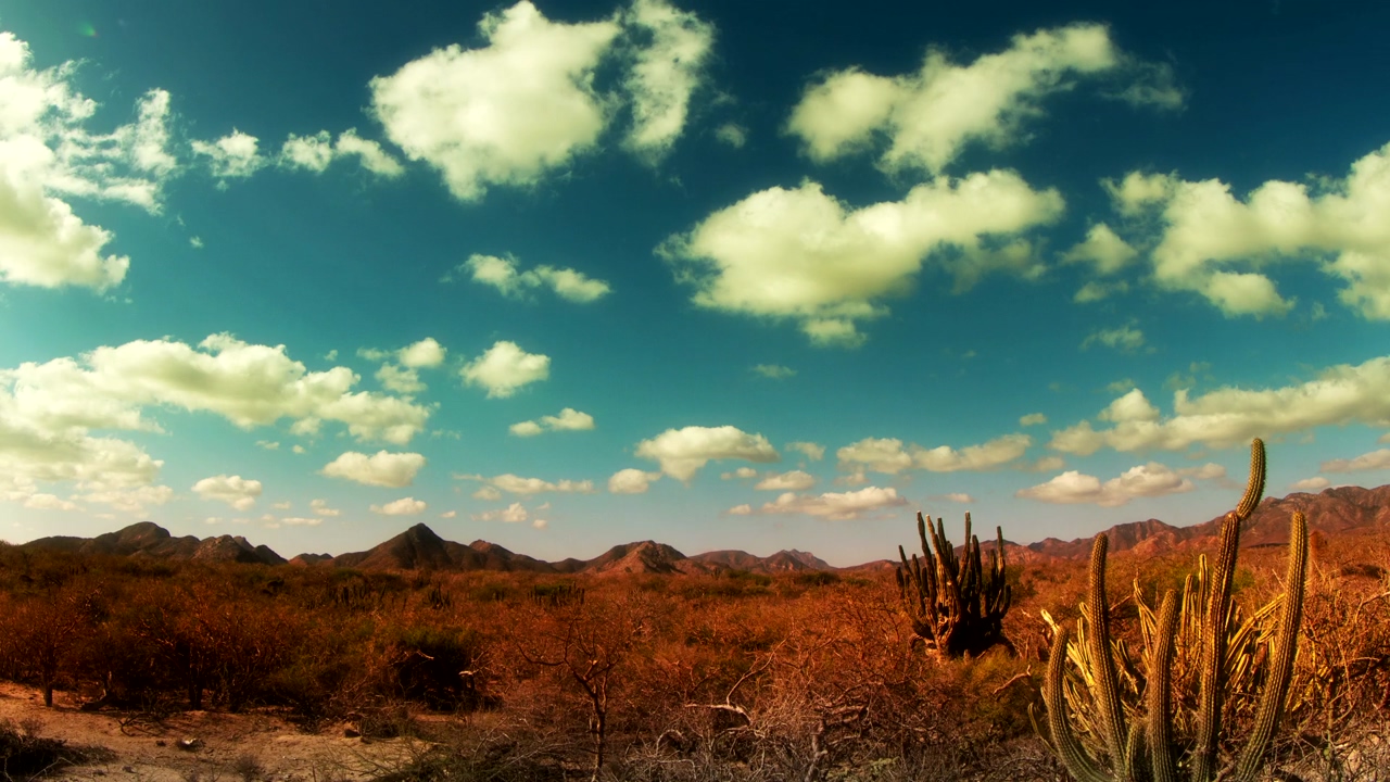Time lapse of the desert with clouds quickly traversing the blue sky and casting its shadow in the desert with dry vegetation and cactus